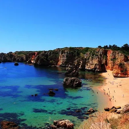 Bella & Gordinho * Λάγος